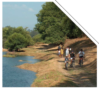 Imagem descritiva de pasta