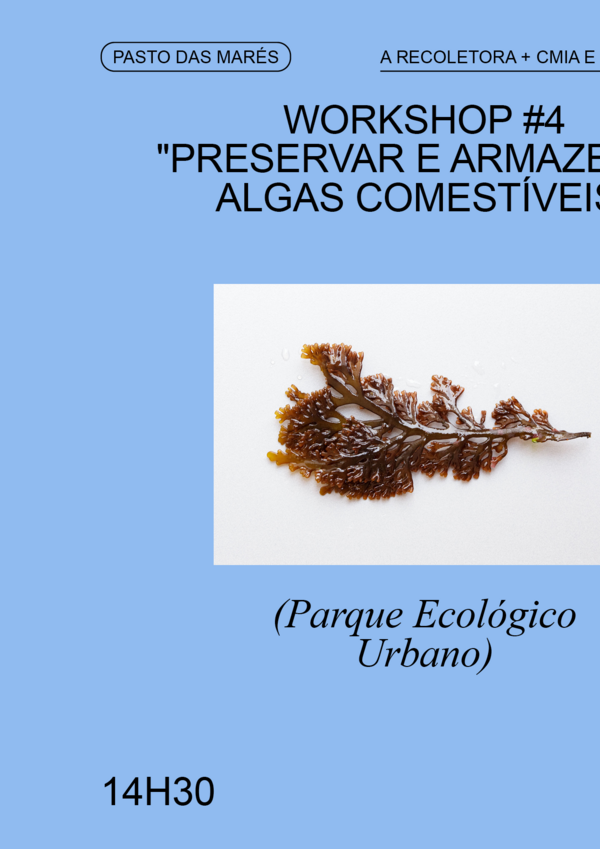 pasto_das_mares_workshop__4_preservar_e_armazenar_algas_comestiveis
