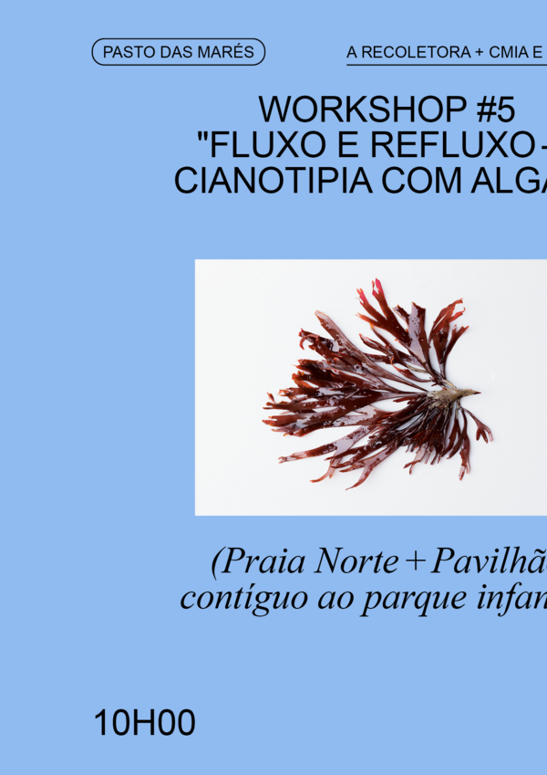 pasto_das_mares_workshop__5_fluxo_e_refluxo_cianotipia_com_algas