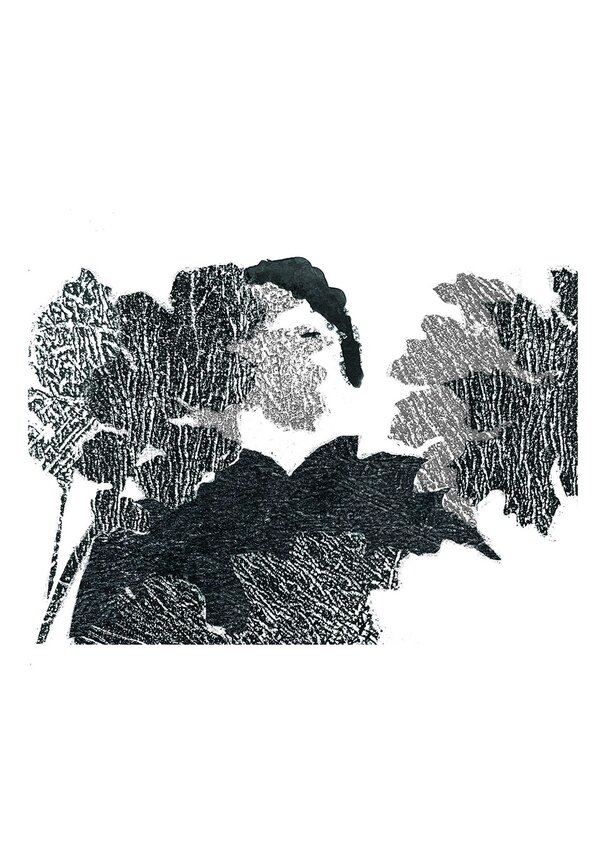 a_metamorfose_dos_passaros