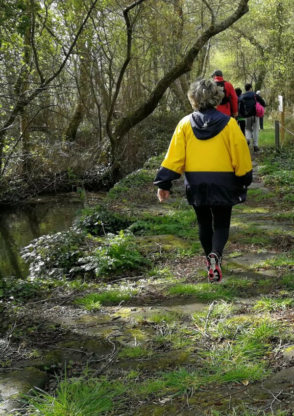 trilho_da_ribeira_lima_pr25_1_scaled