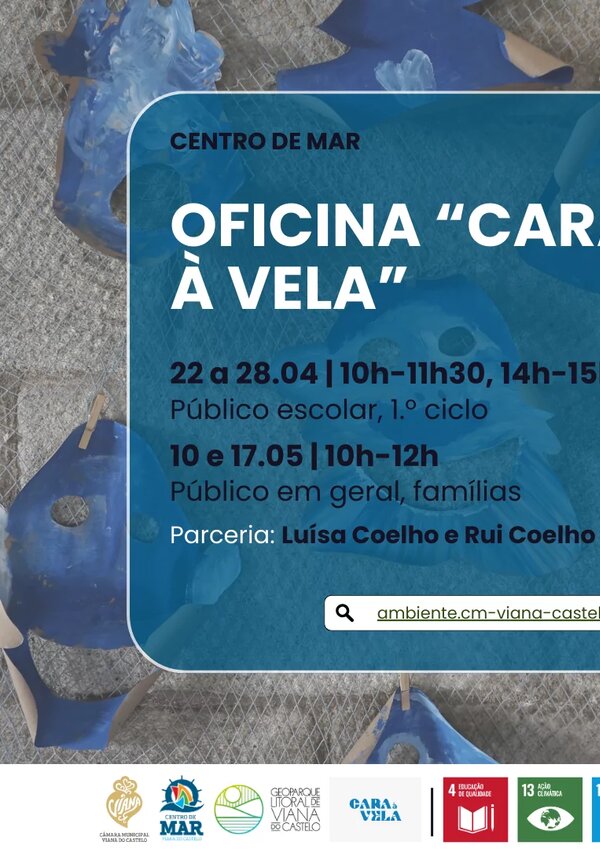 cara_a_vela_facebook_1