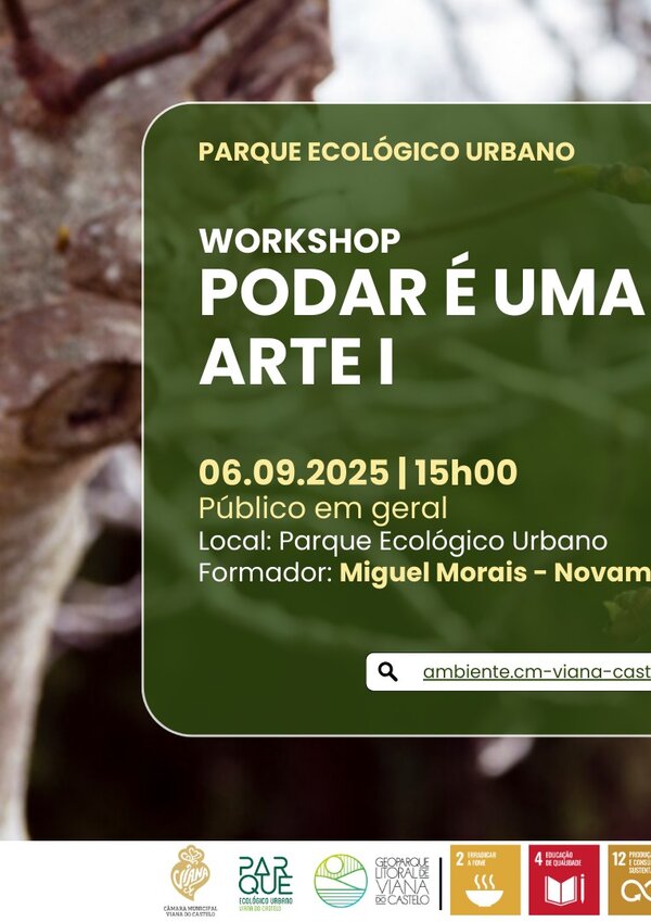 532695822_1065521462459825_1343511351701852341_n_1_