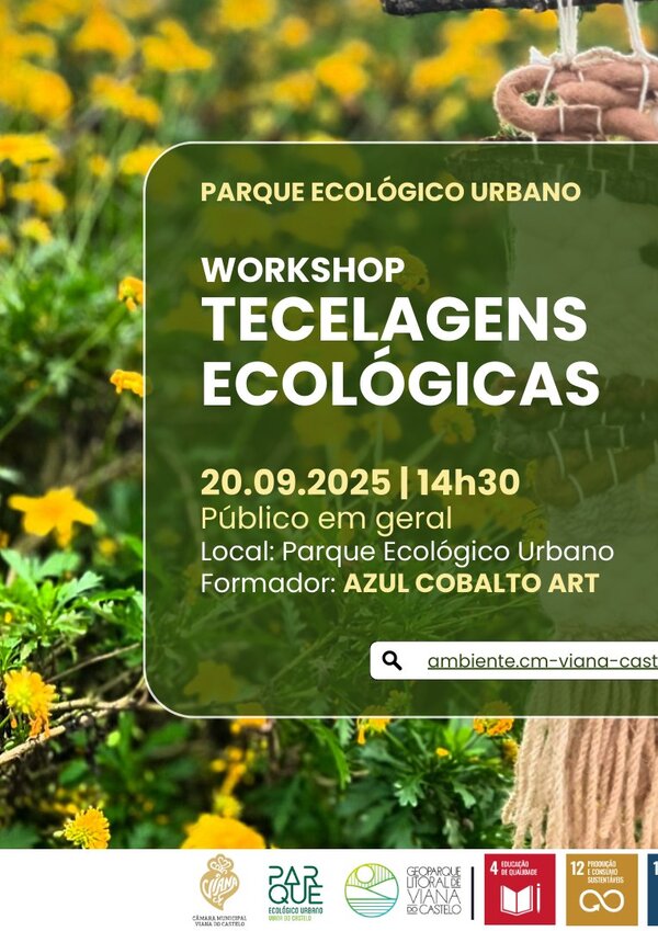 535393328_1065528352459136_299546392359530198_n