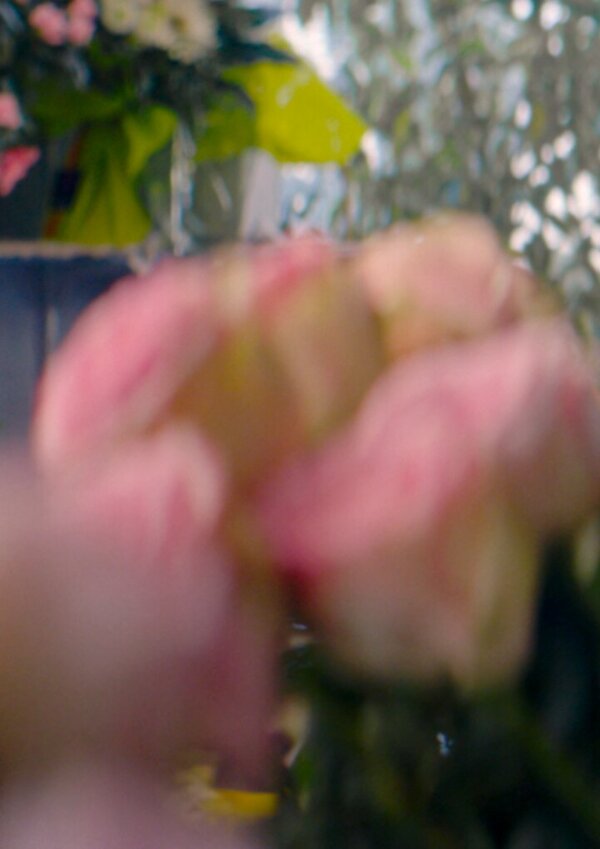 a_prisioneira_de_bordeus_2