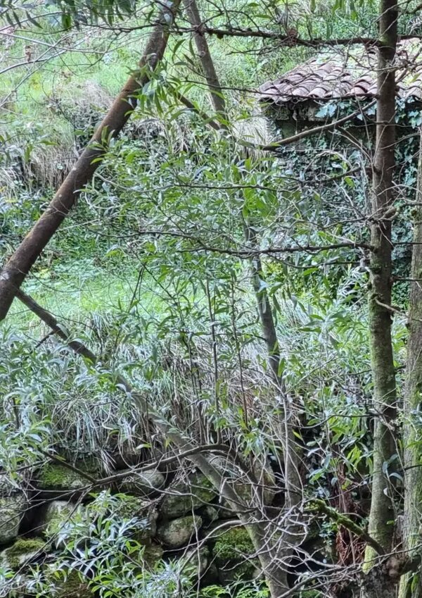 20220122_114848_scaled