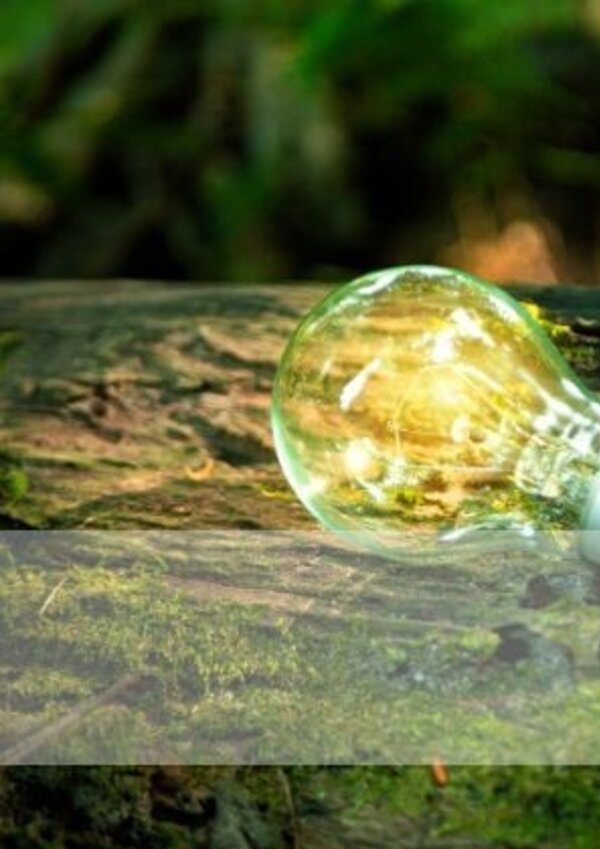 boas_praticas_de_economia_circular_e_turismo_sustentavel