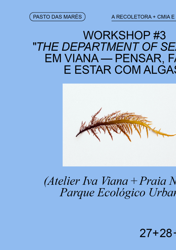 pasto_das_mares_workshop__3_the_department_of_seaweed_em_viana_pensar__fazer_e_estar_com_algas_ju...