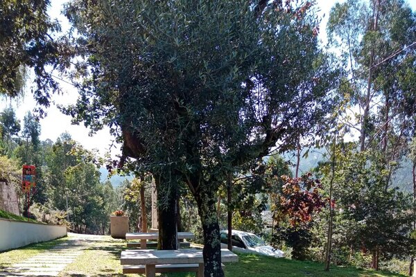 pmerendas_sto_antonio2