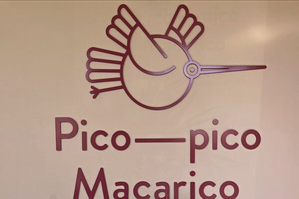 pico_pico