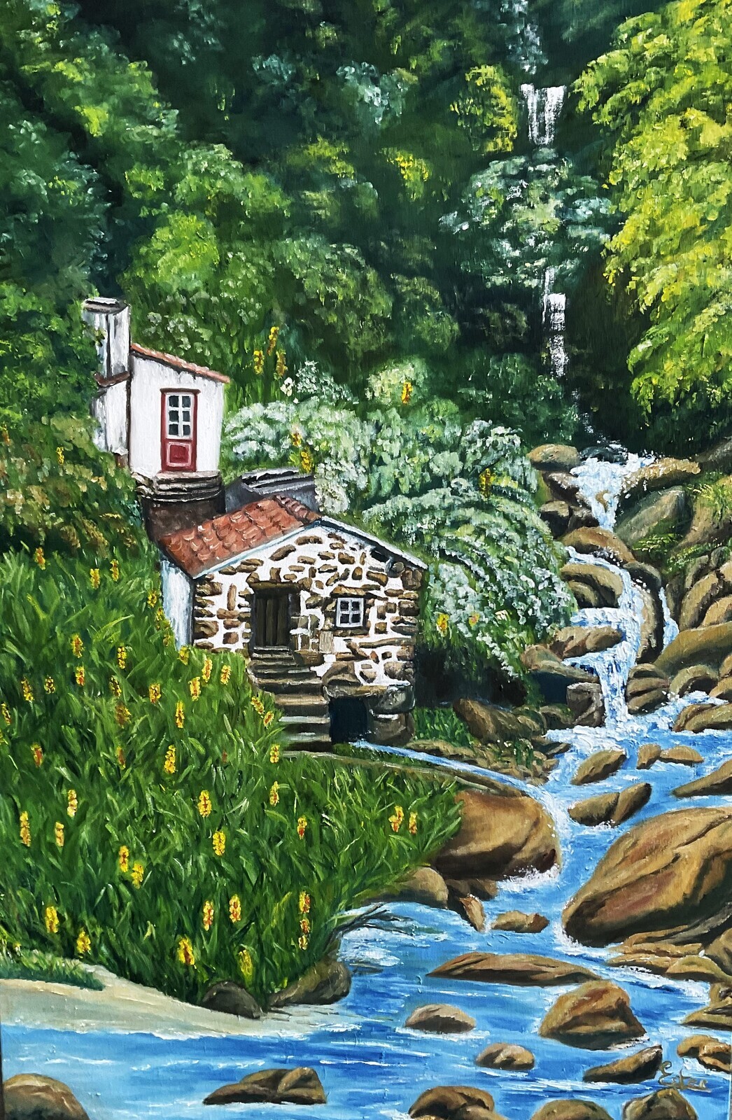 Exposição individual  "Olhar a Natureza"