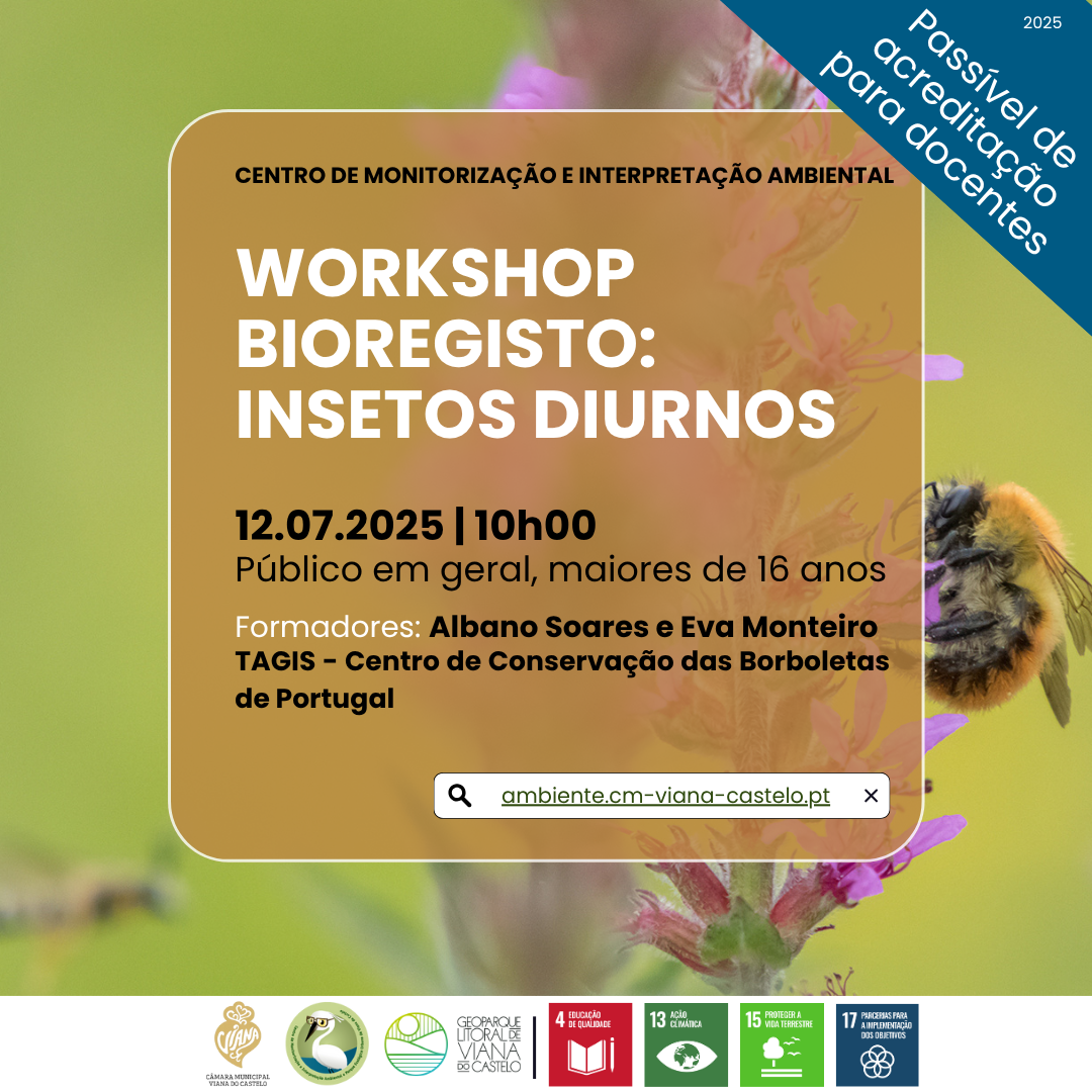 Workshop Bioregisto: Insetos Diurnos 