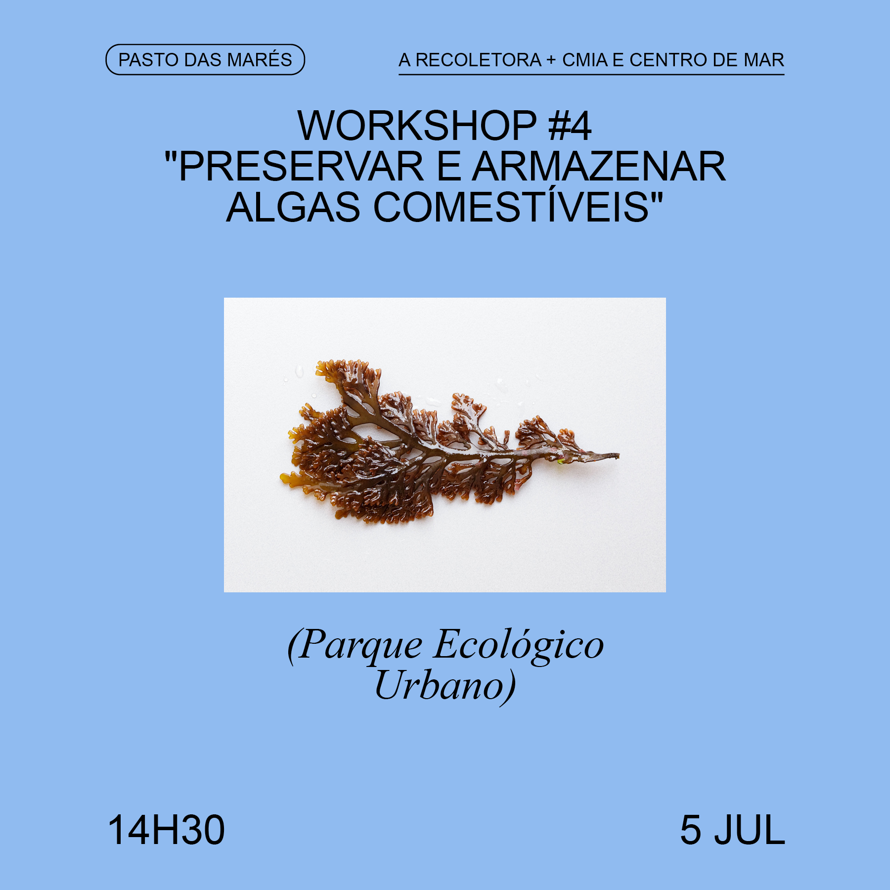 Pasto de Marés - Workshop  #4 — Preservar e armazenar algas comestíveis