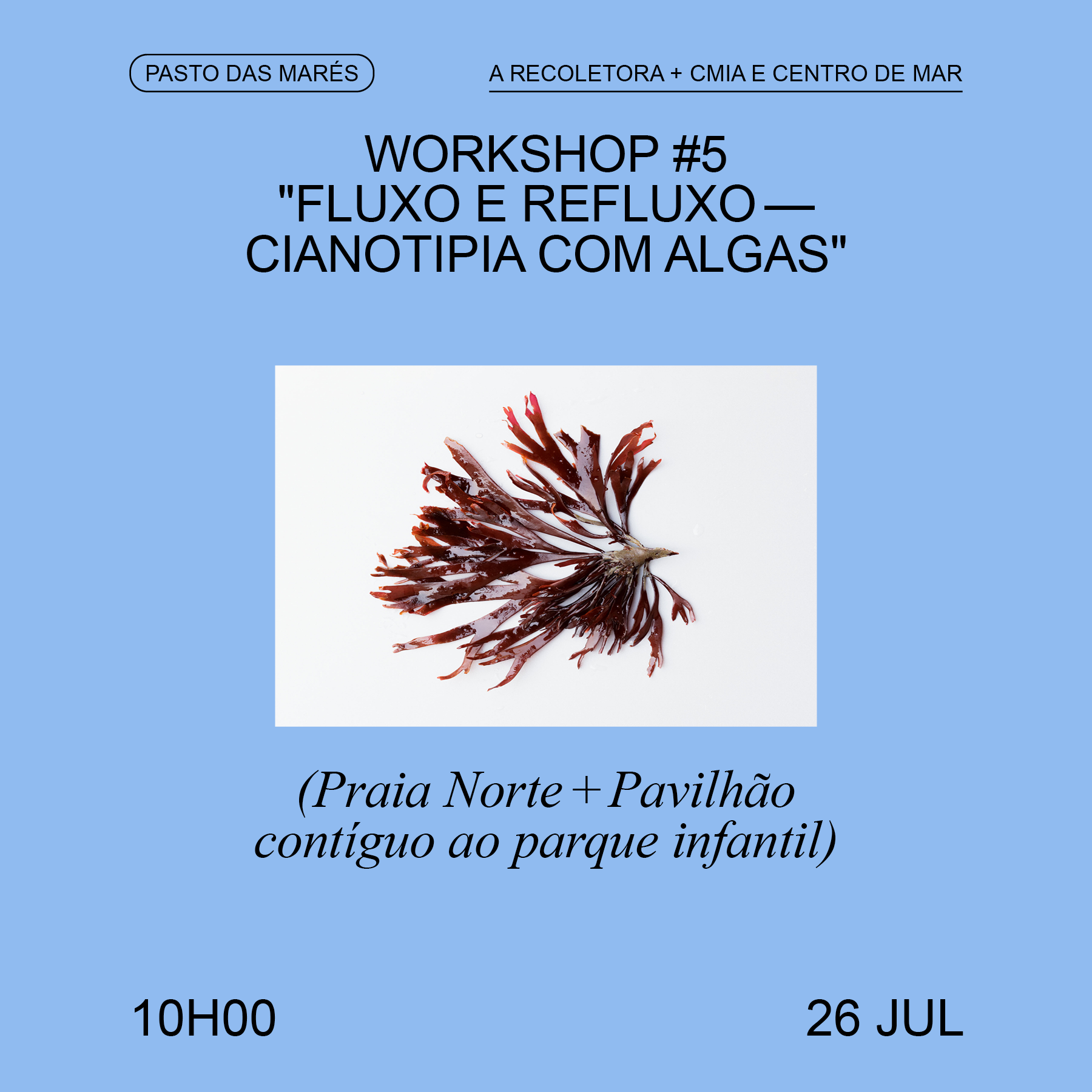 Pasto de Marés - Workshop #5 — Fluxo e refluxo: cianotipia com algas