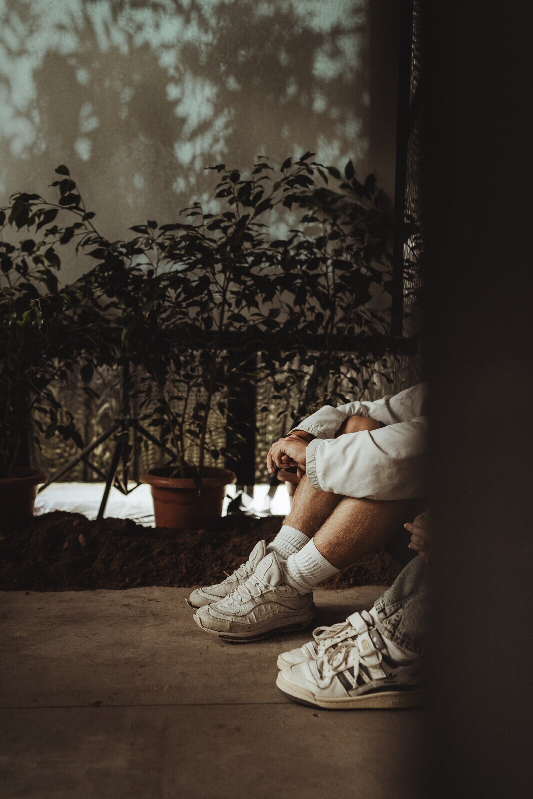 Exposição Rizoma {memória vegetal}