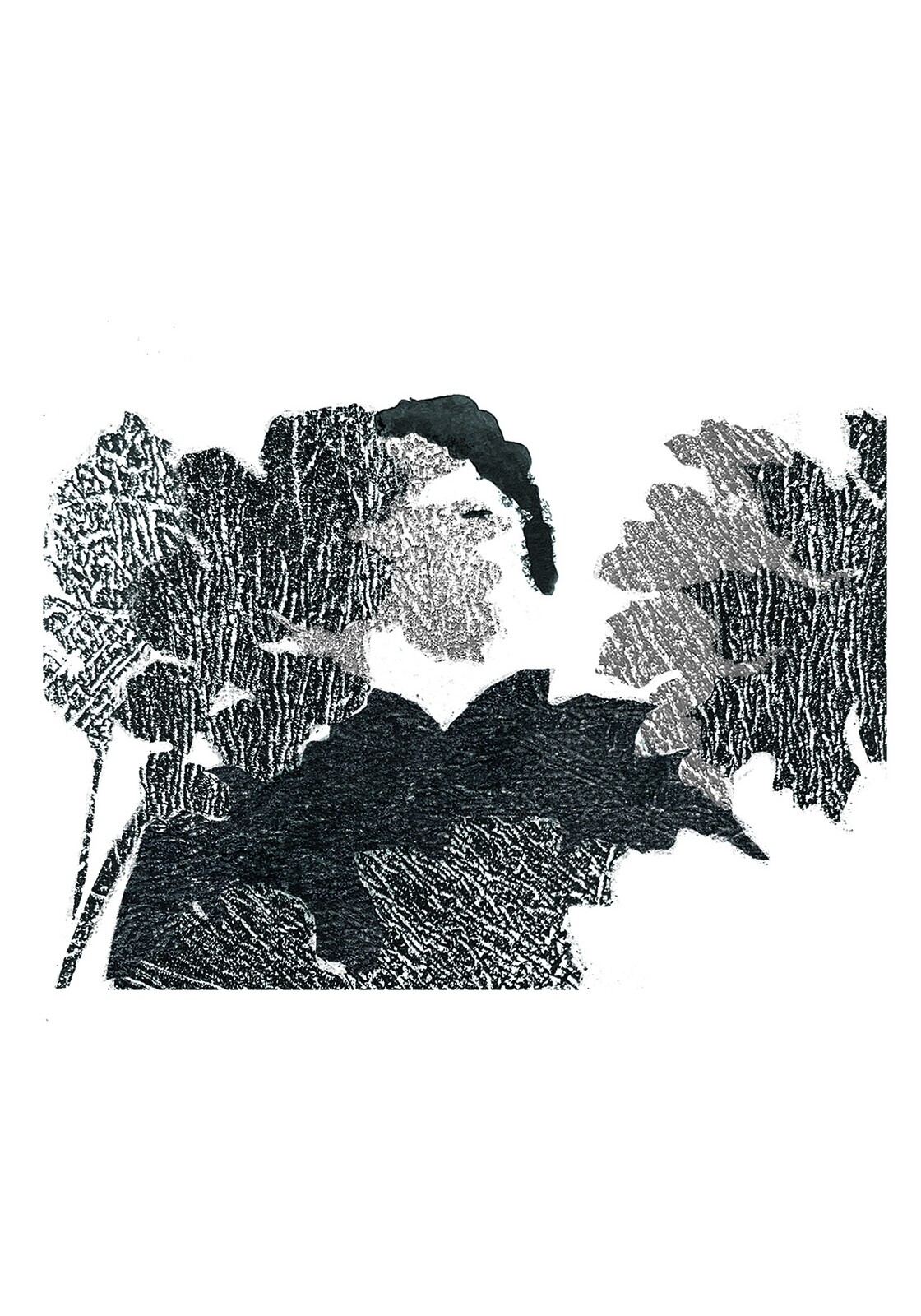 A Metamorfose dos Pássaros -  Exposição de ilustração