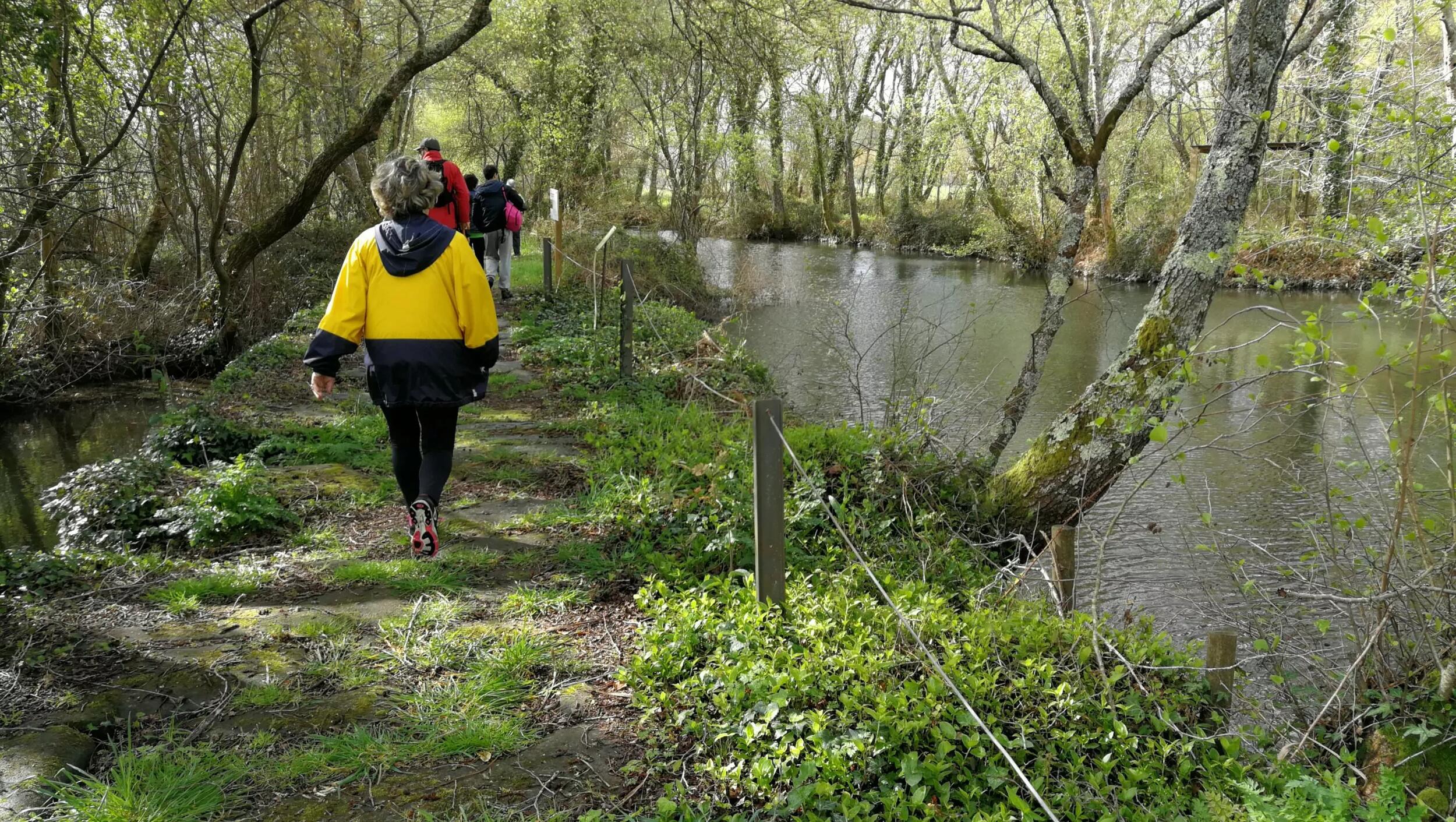 Caminhada “Passos de Memória” – Trilho da Ribeira Lima (Percursos do Homem e do Garrano)” |PR25