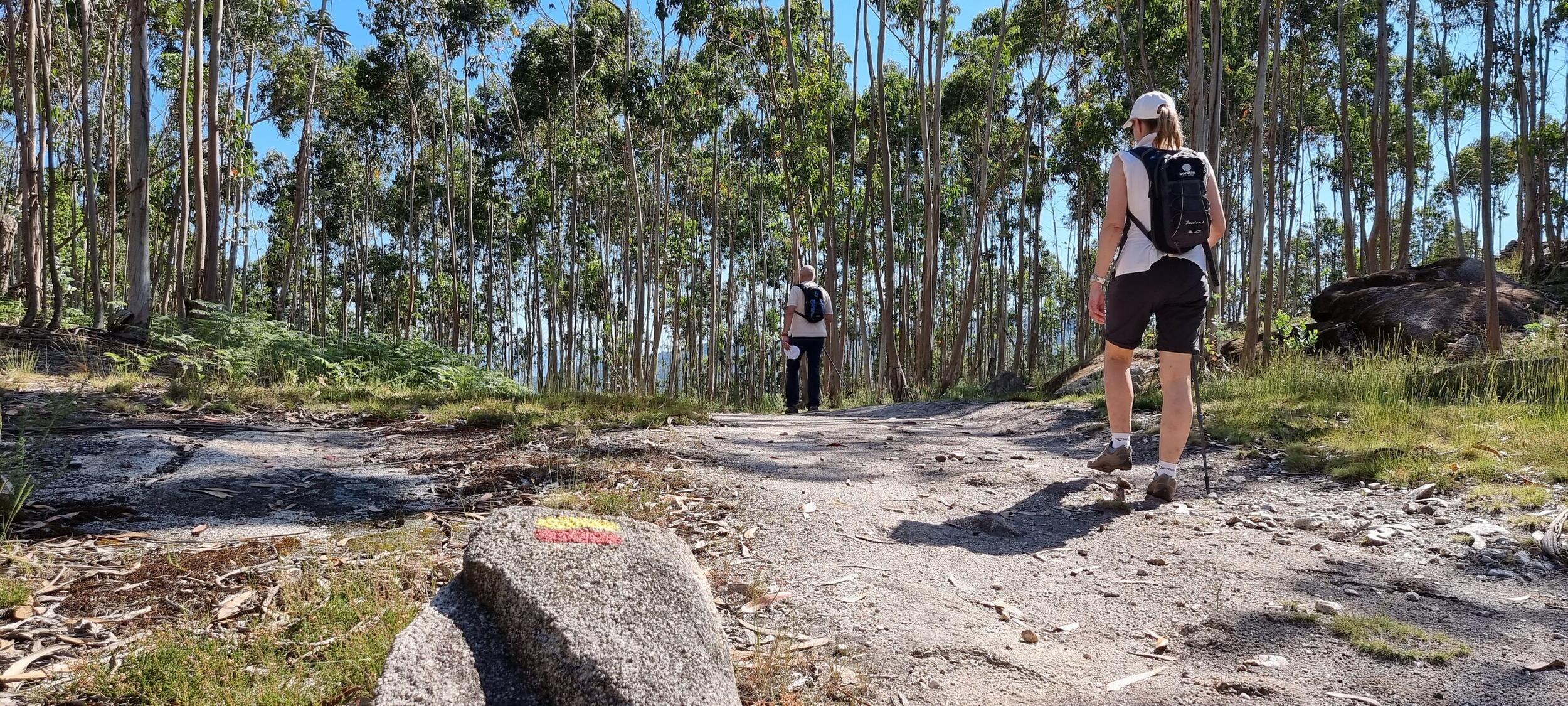 Caminhada "Passos de Memória" - Trilho dos Três Cumes | PR 28