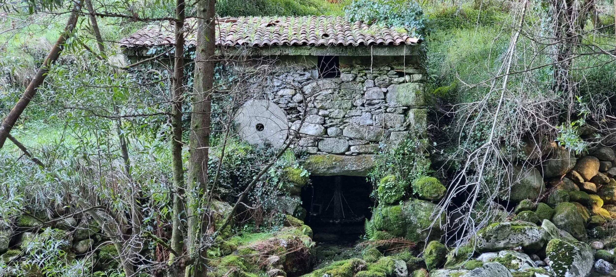 Caminhada “Passos de Memória” – “Trilho do Pincho |PR5”