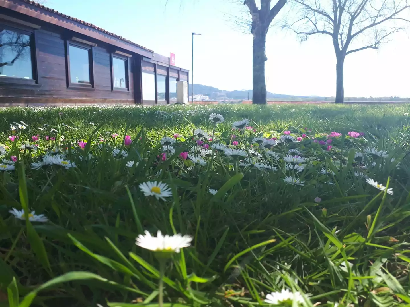 Beira Rio (Restaurante-Pizzaria) 