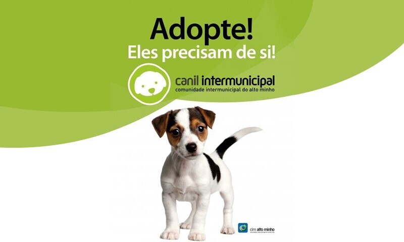 Canil Intermunicipal do Alto Minho