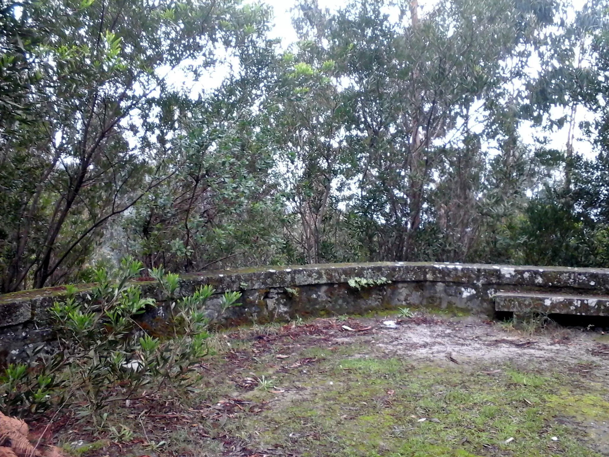 Miradouro – Carreira do Tiro (Areosa)