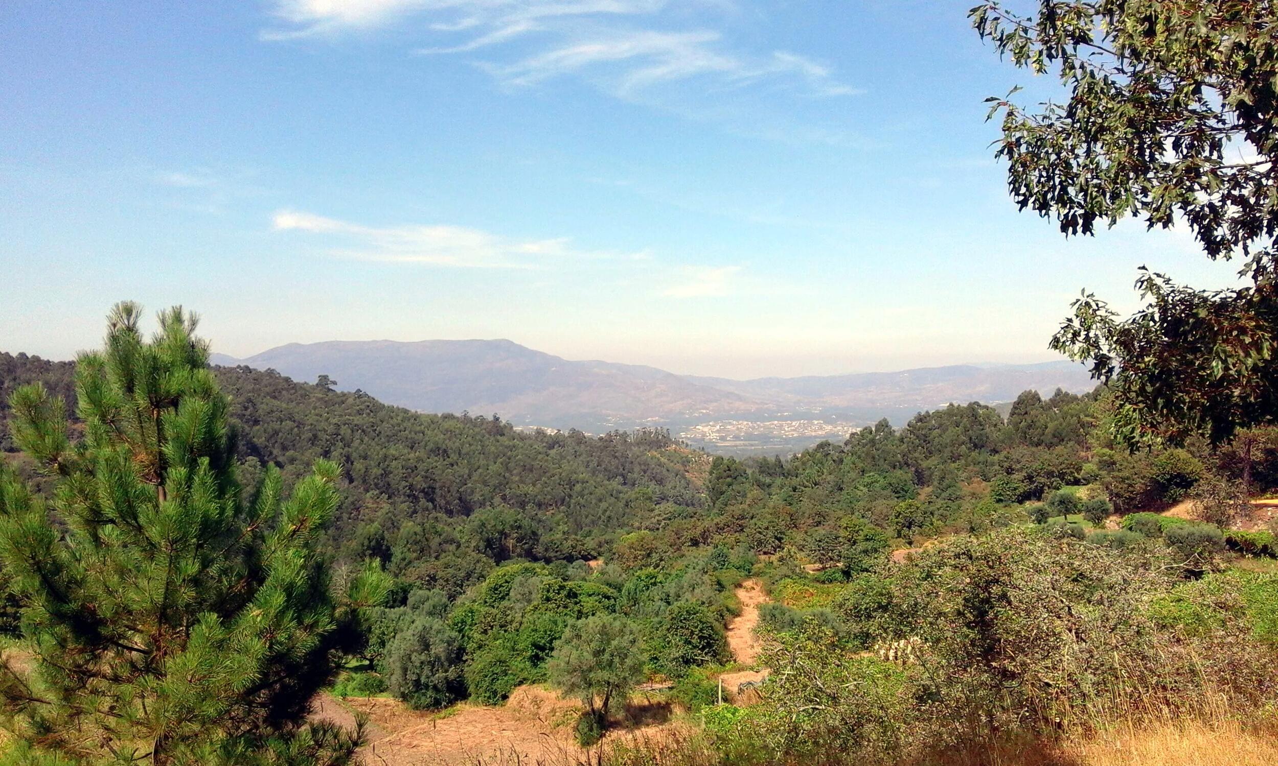 Miradouro – Vacaria: Sª de Lurdes (Carvoeiro)