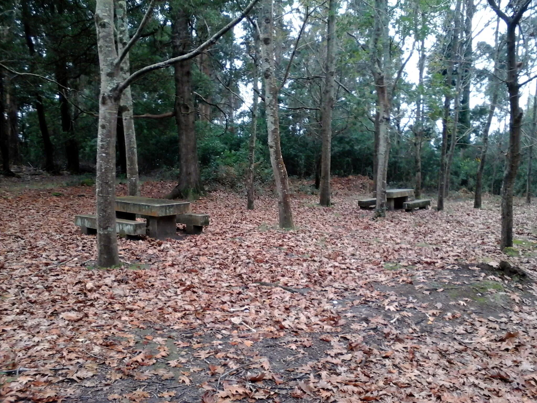 Parque de Merendas – Carreira do Tiro (Areosa)