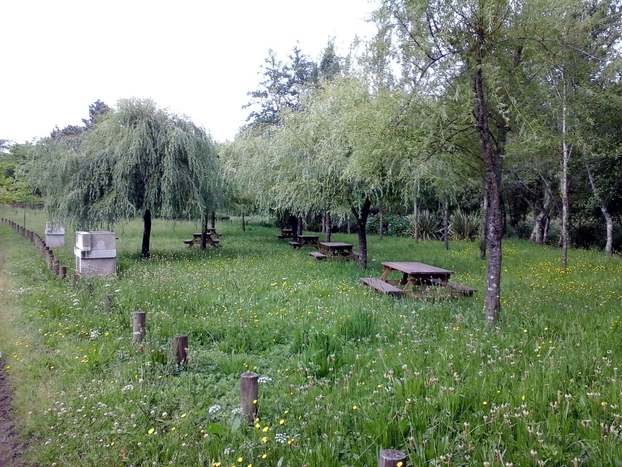 Parque de Merendas – Largo do Madeiro (Vila Mou/Torre)