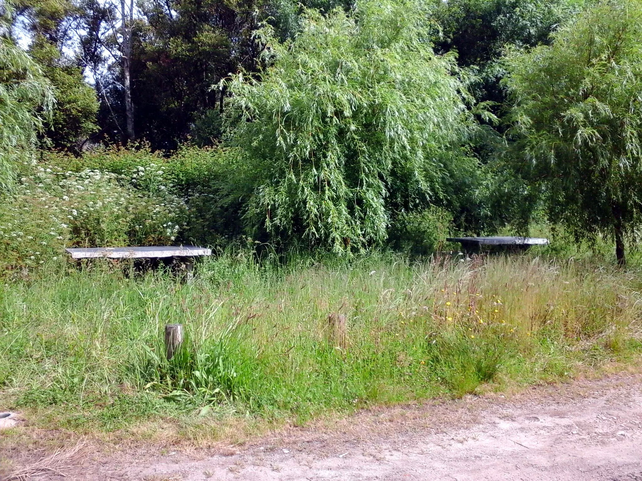 Parque de Merendas – Parque de Vila Mou (Vila Mou/ Torre)