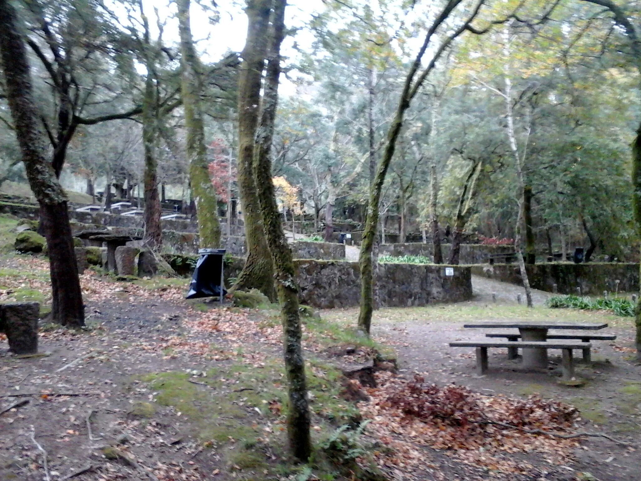 Parque de Merendas – Sª do Crasto (Deocriste)