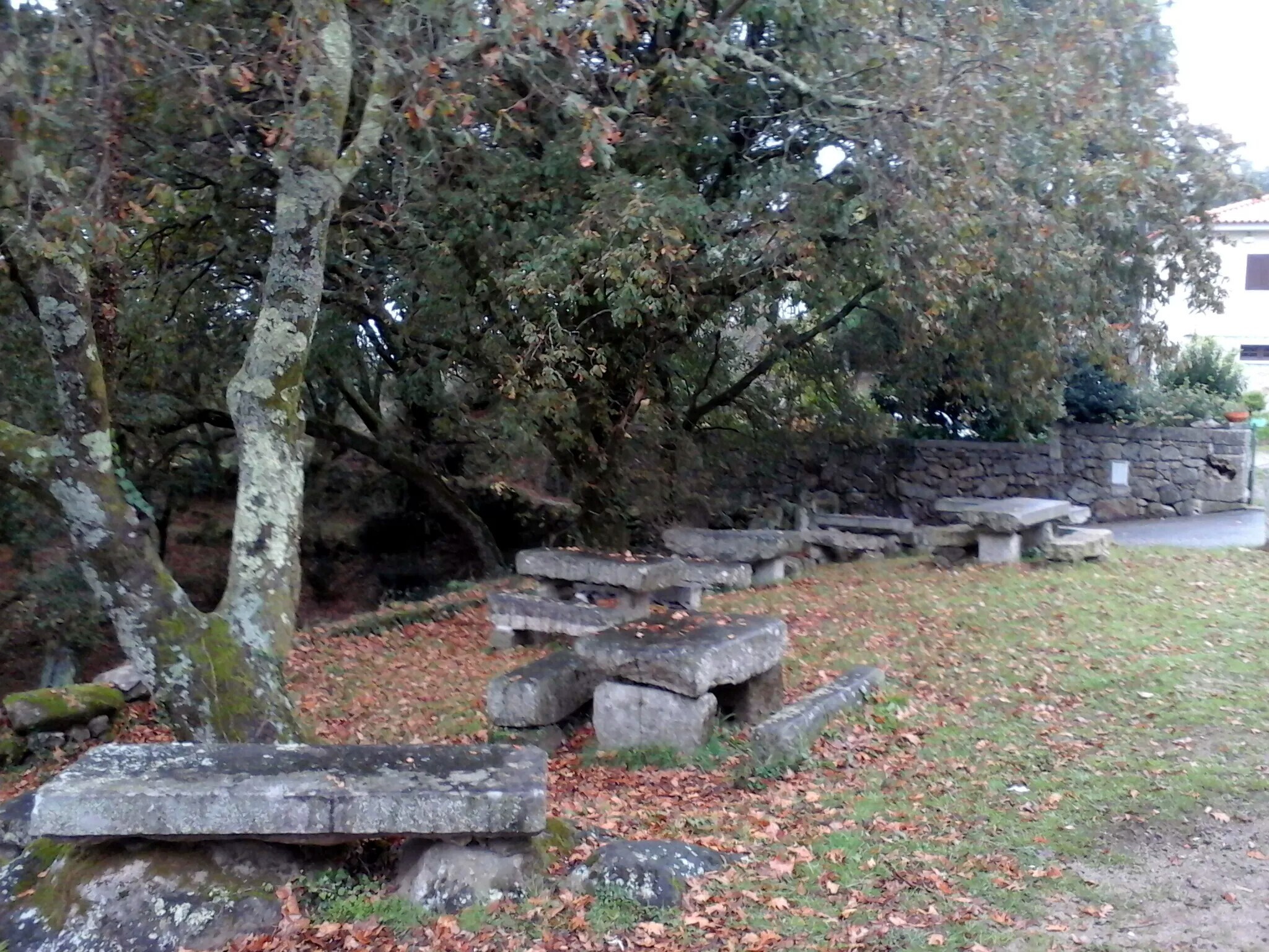 Parque de Merendas – São Mamede (Areosa)