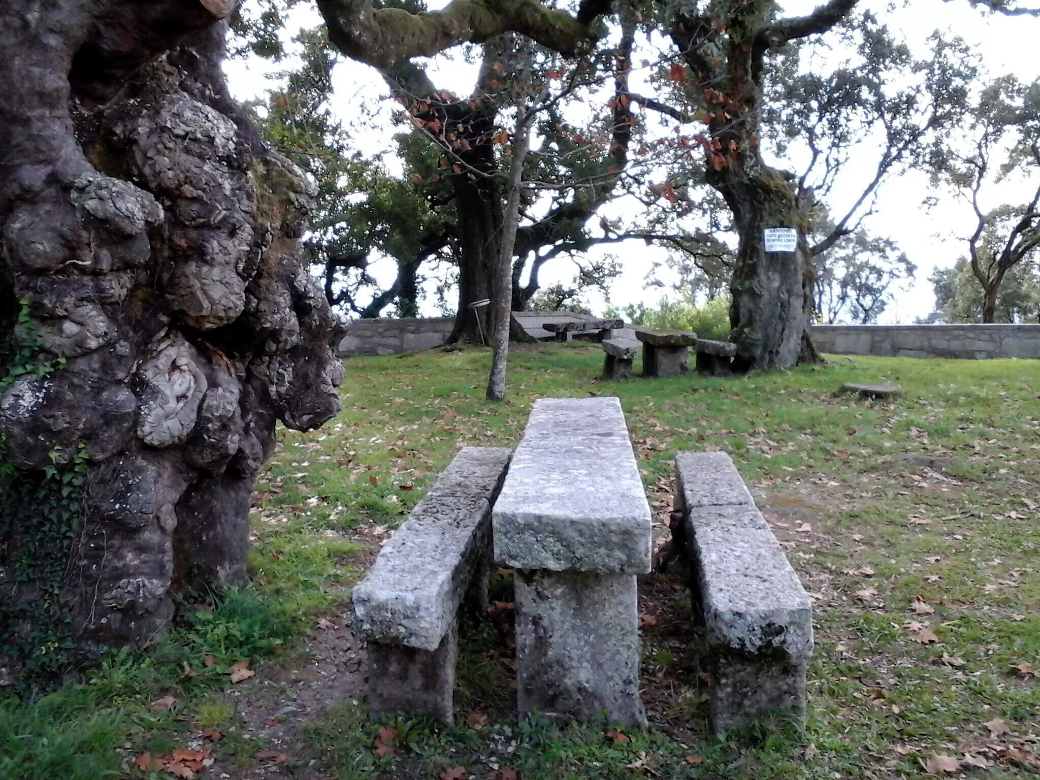 Parque de Merendas – São Silvestre (Cardielos)