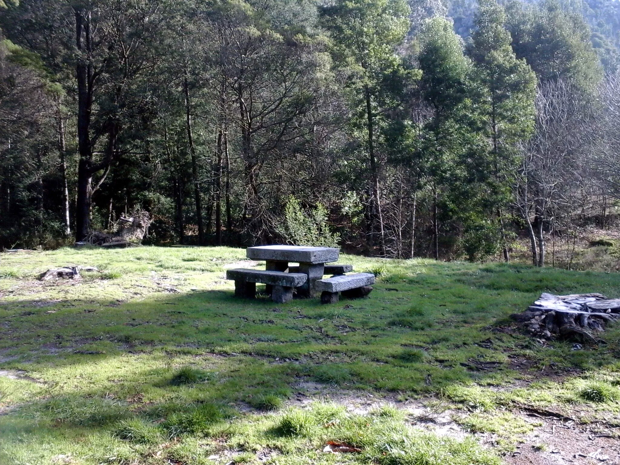 Parque de Merendas – Viveiros (Montaria)