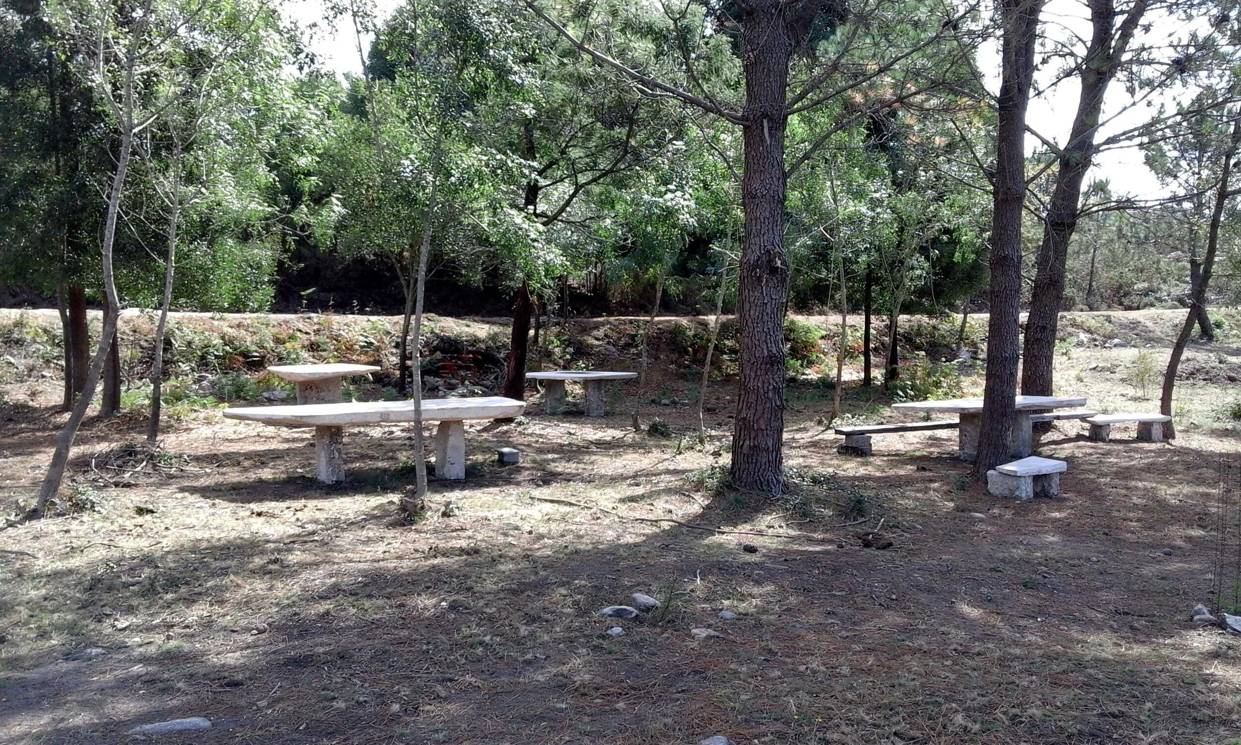 Parque de Merendas – Viveiros Fonte Louçã (Areosa)