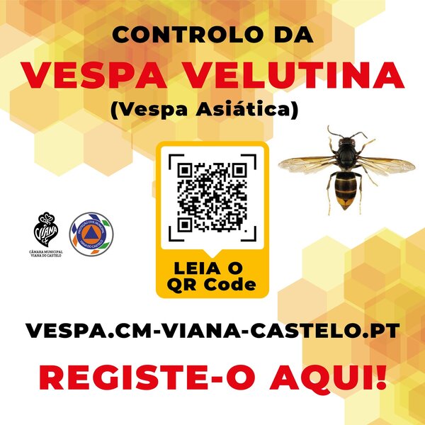 Controlo da Vespa Velutina - Registe aqui