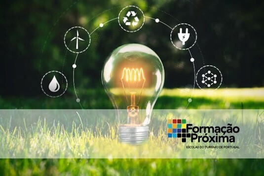 Como ser mais sustent&aacute;vel na sua empresa