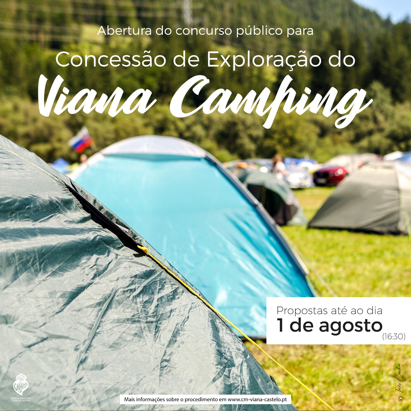 18833_viana_camping