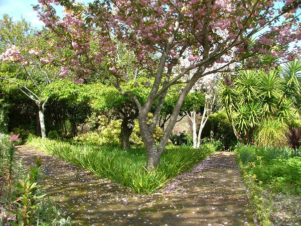 quinta_do_bento_novo10