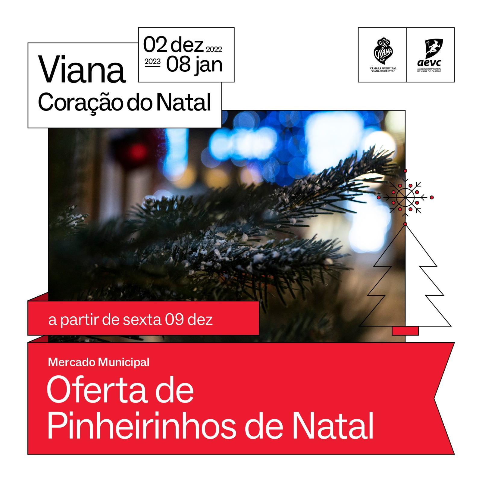 20024_pinheirinhos