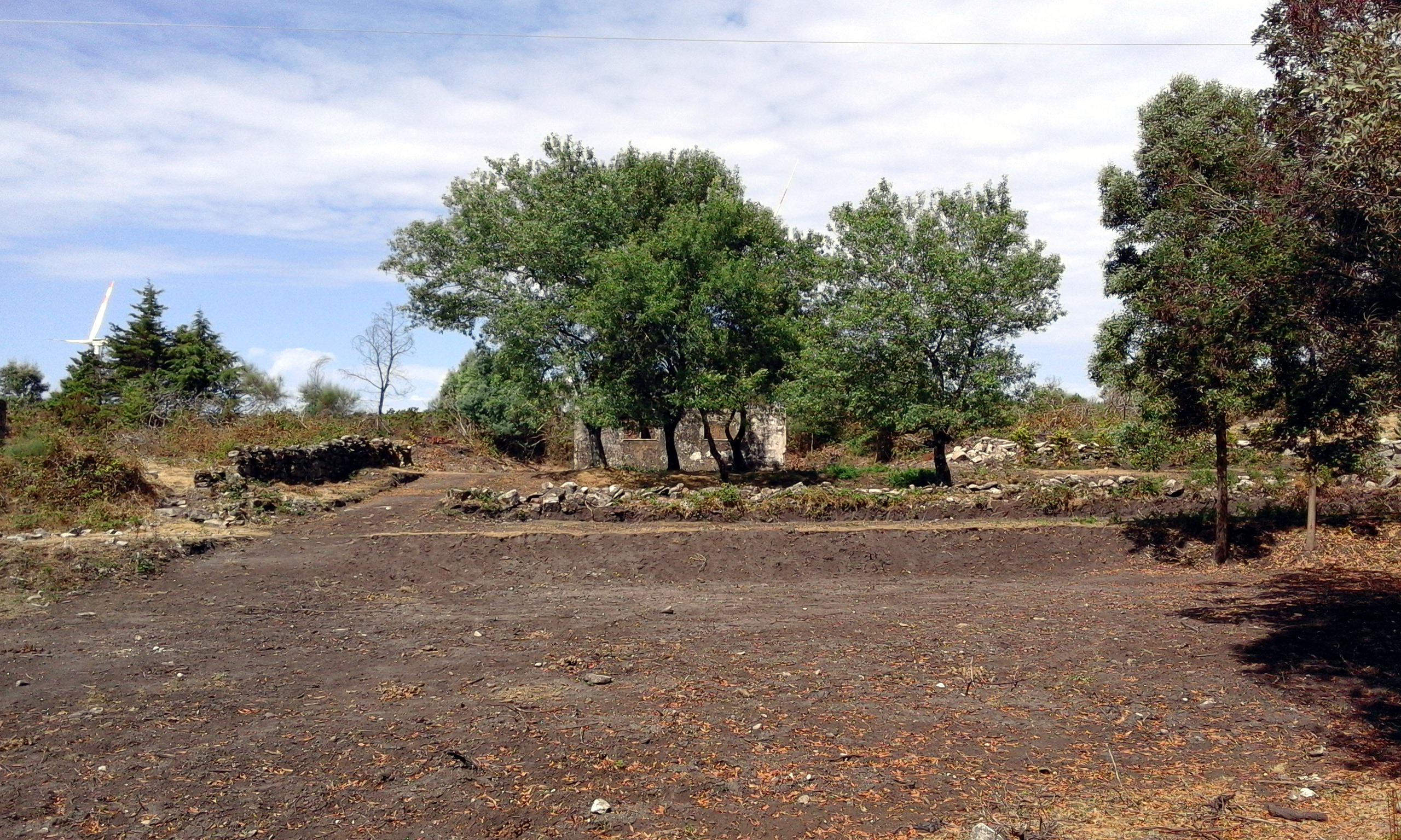 casa_florestal