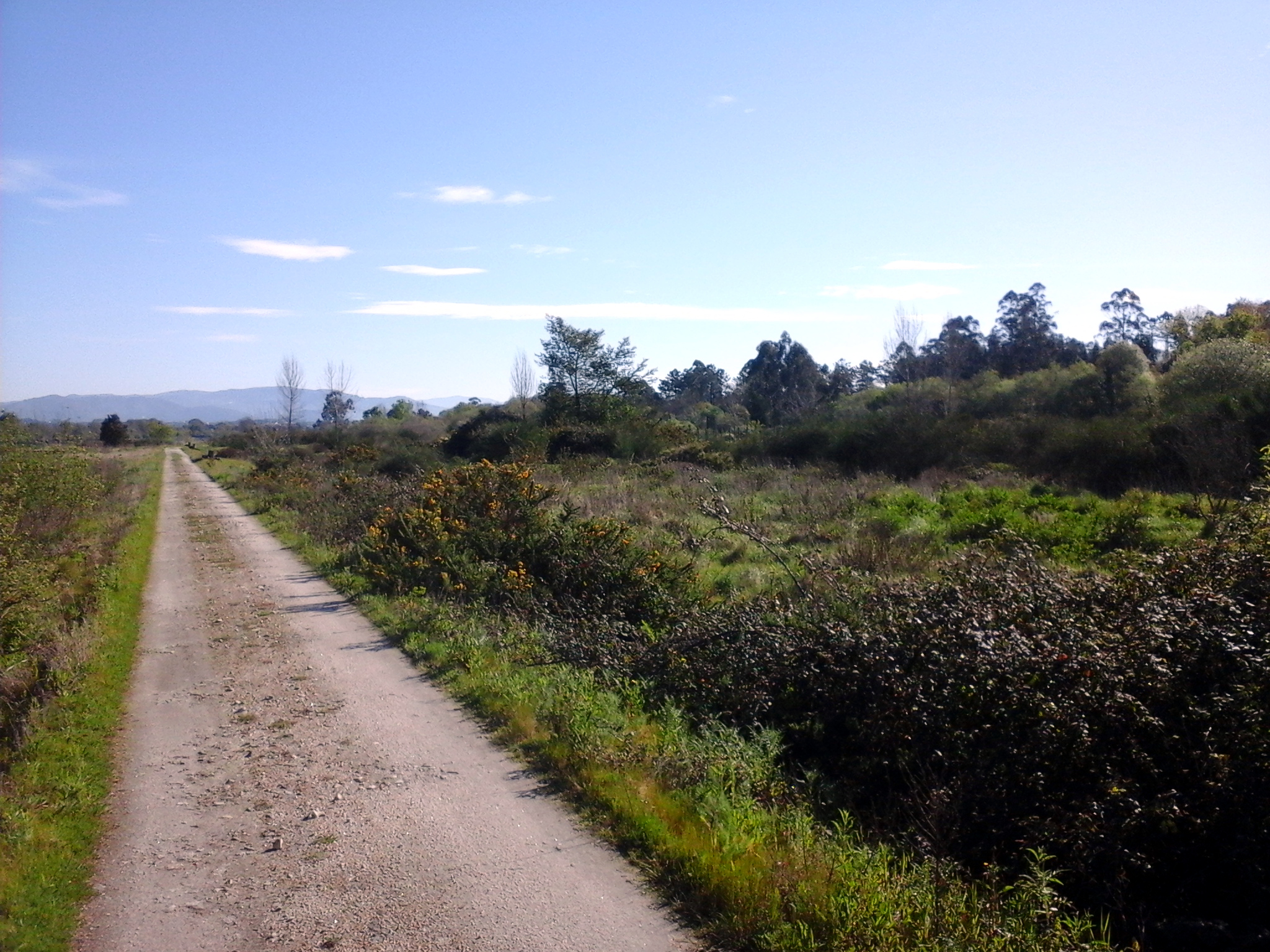 ecovia_1_