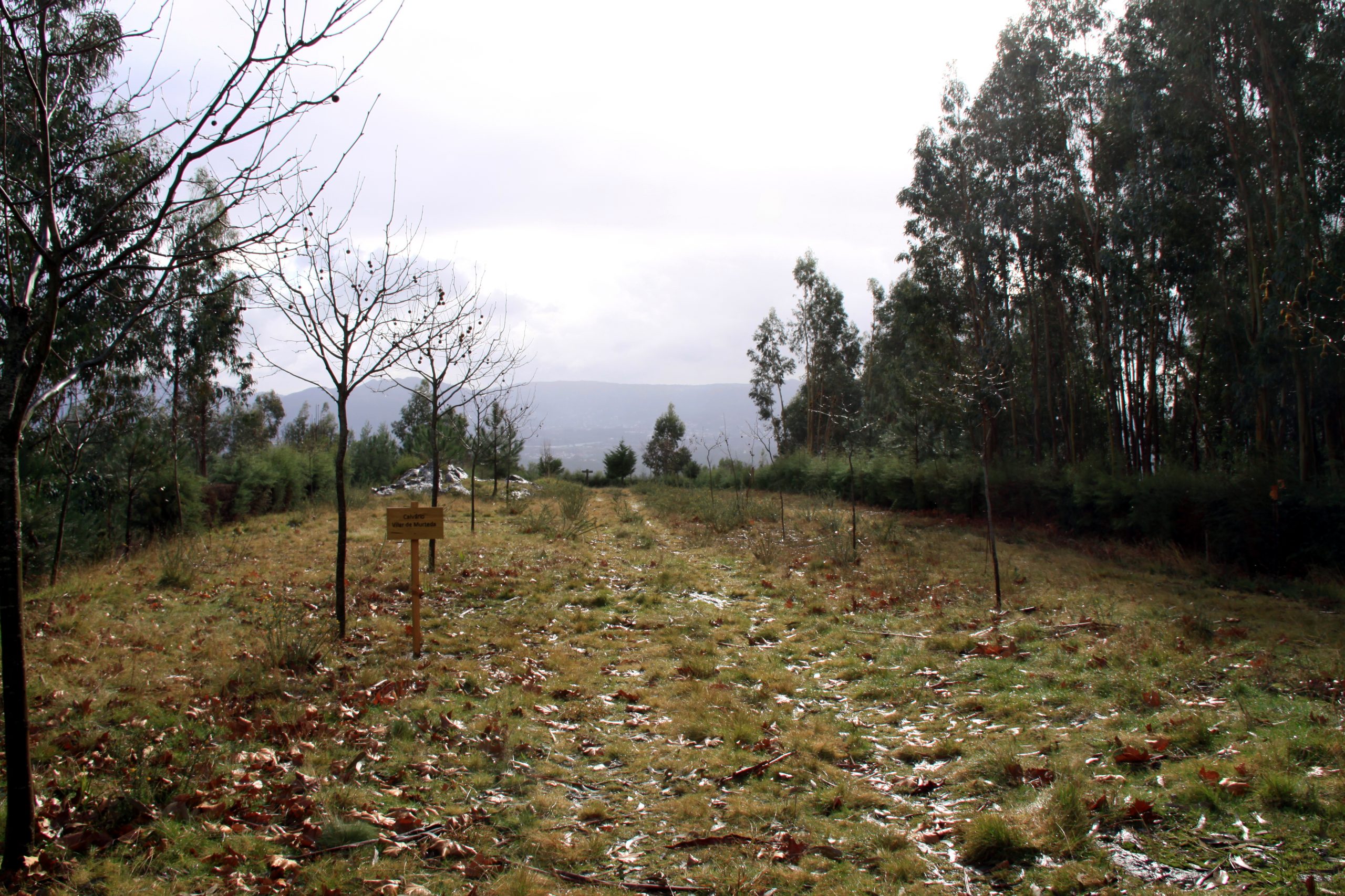 miradouro_1_1