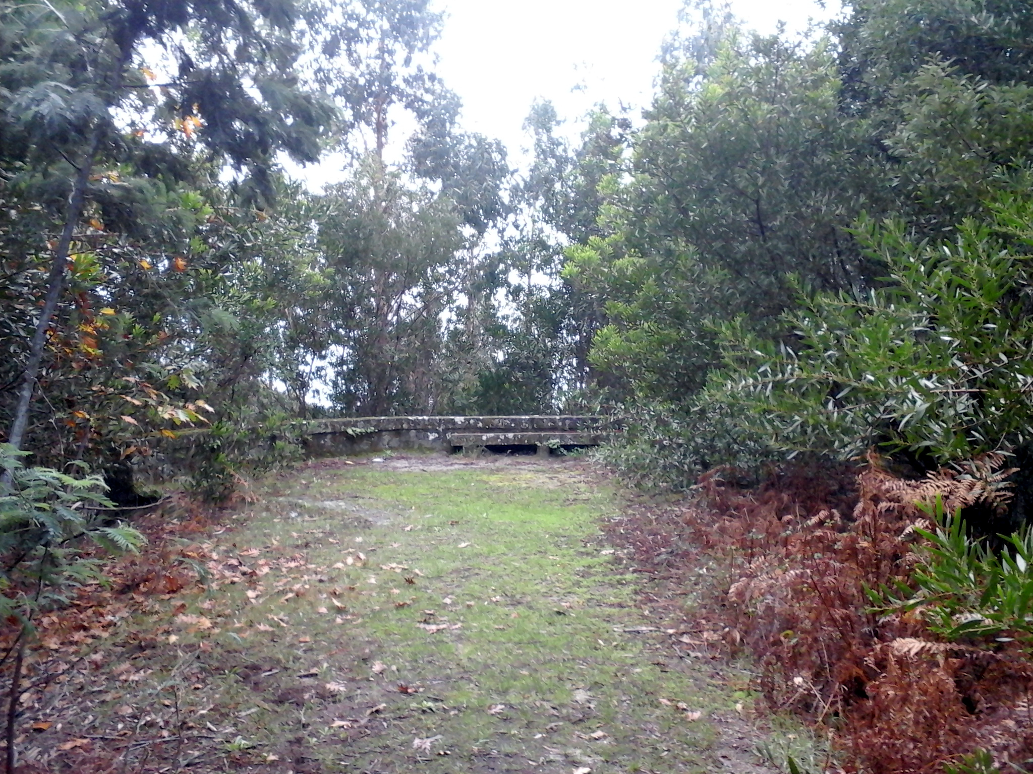 Miradouro – Carreira do Tiro (Areosa)