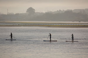 paddle_feelviana