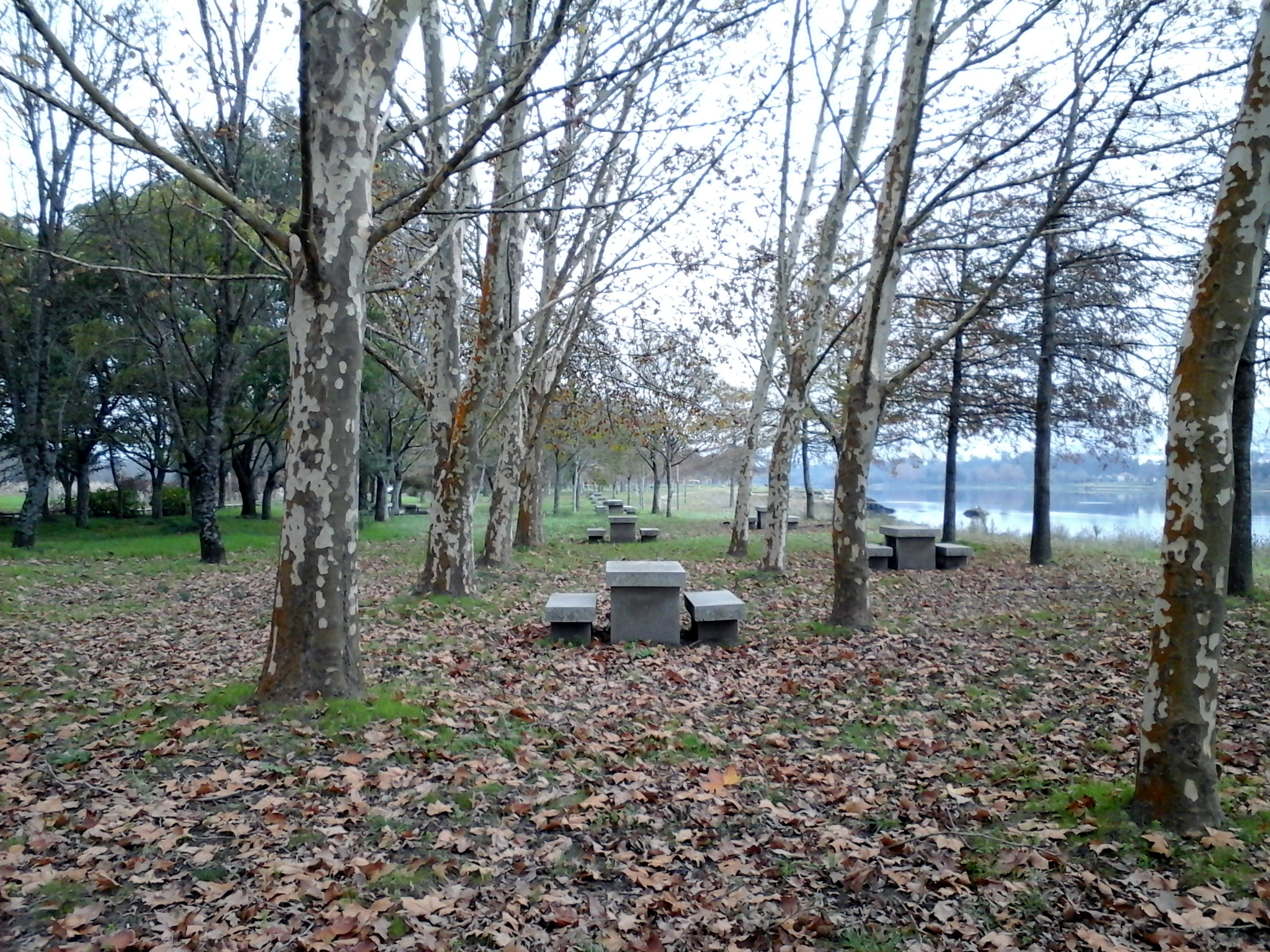 parque_1_3