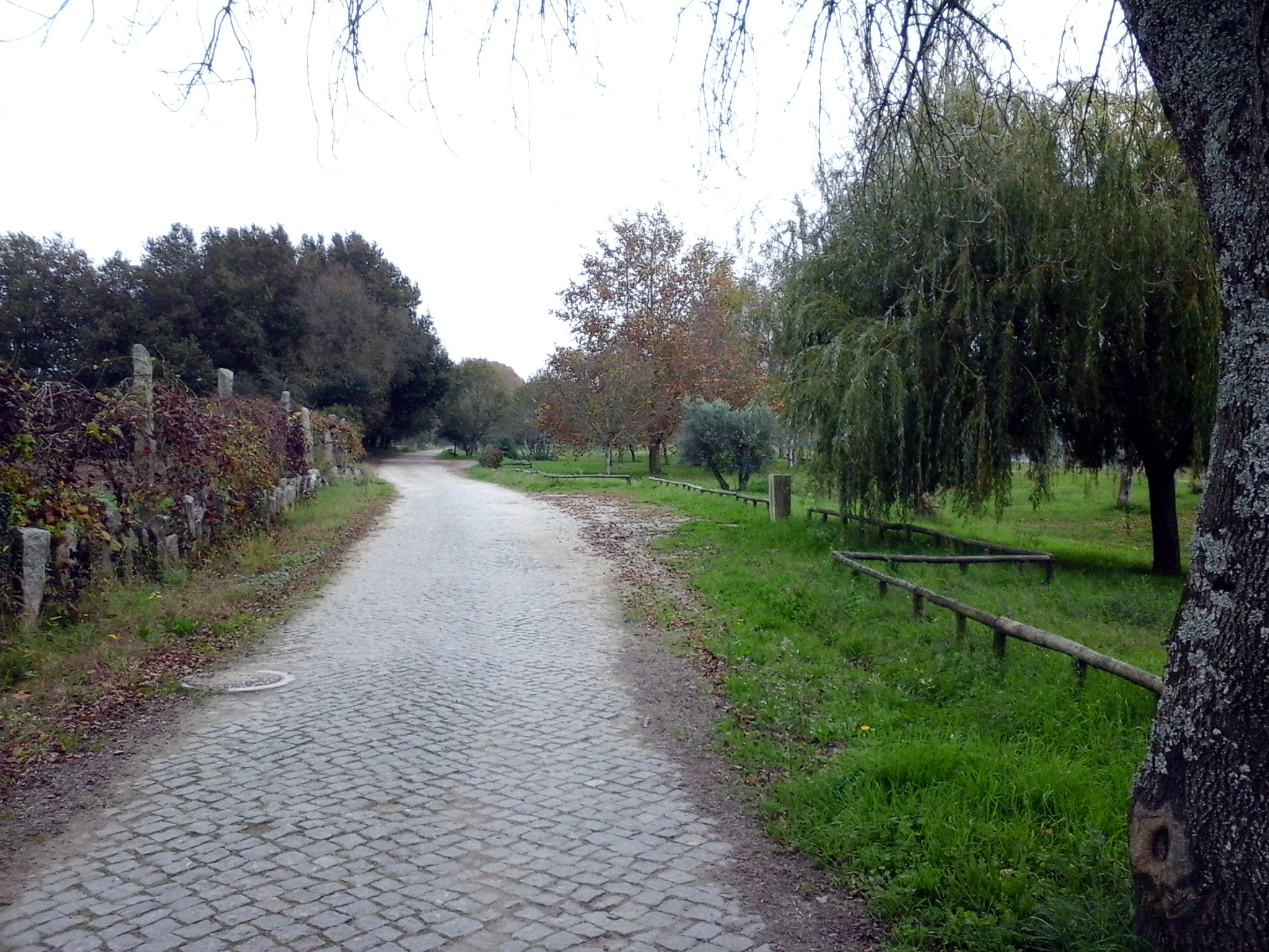 parque_4_2
