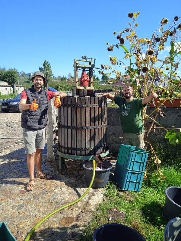 Phulia Wines