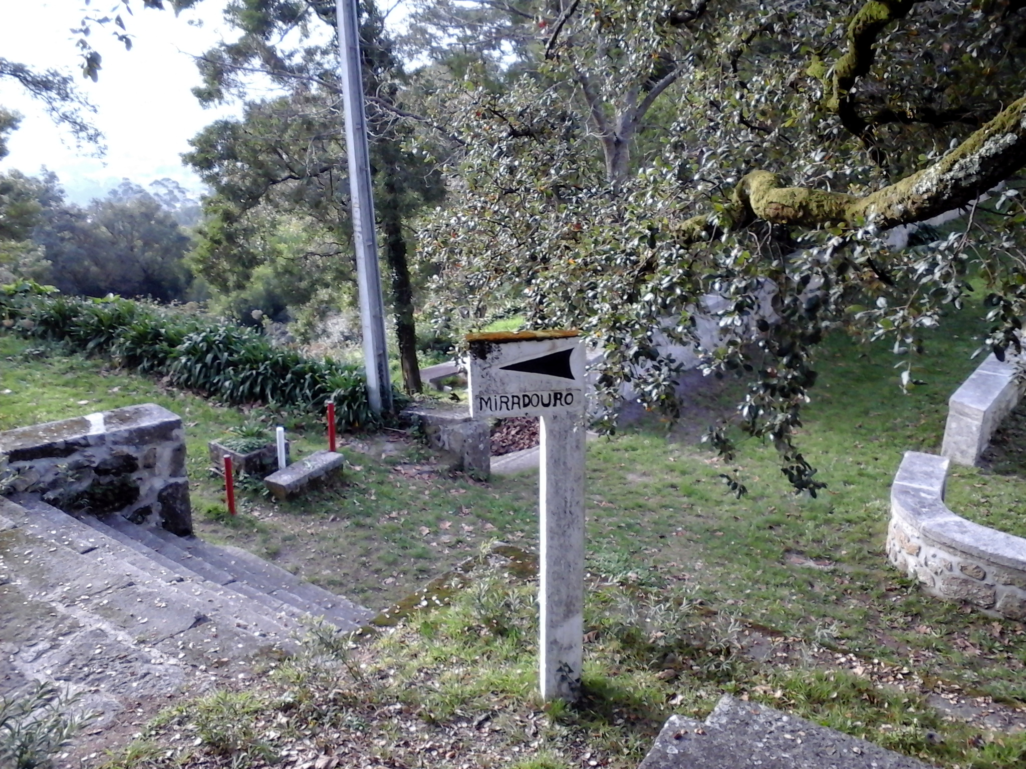 placa_de_indicacao