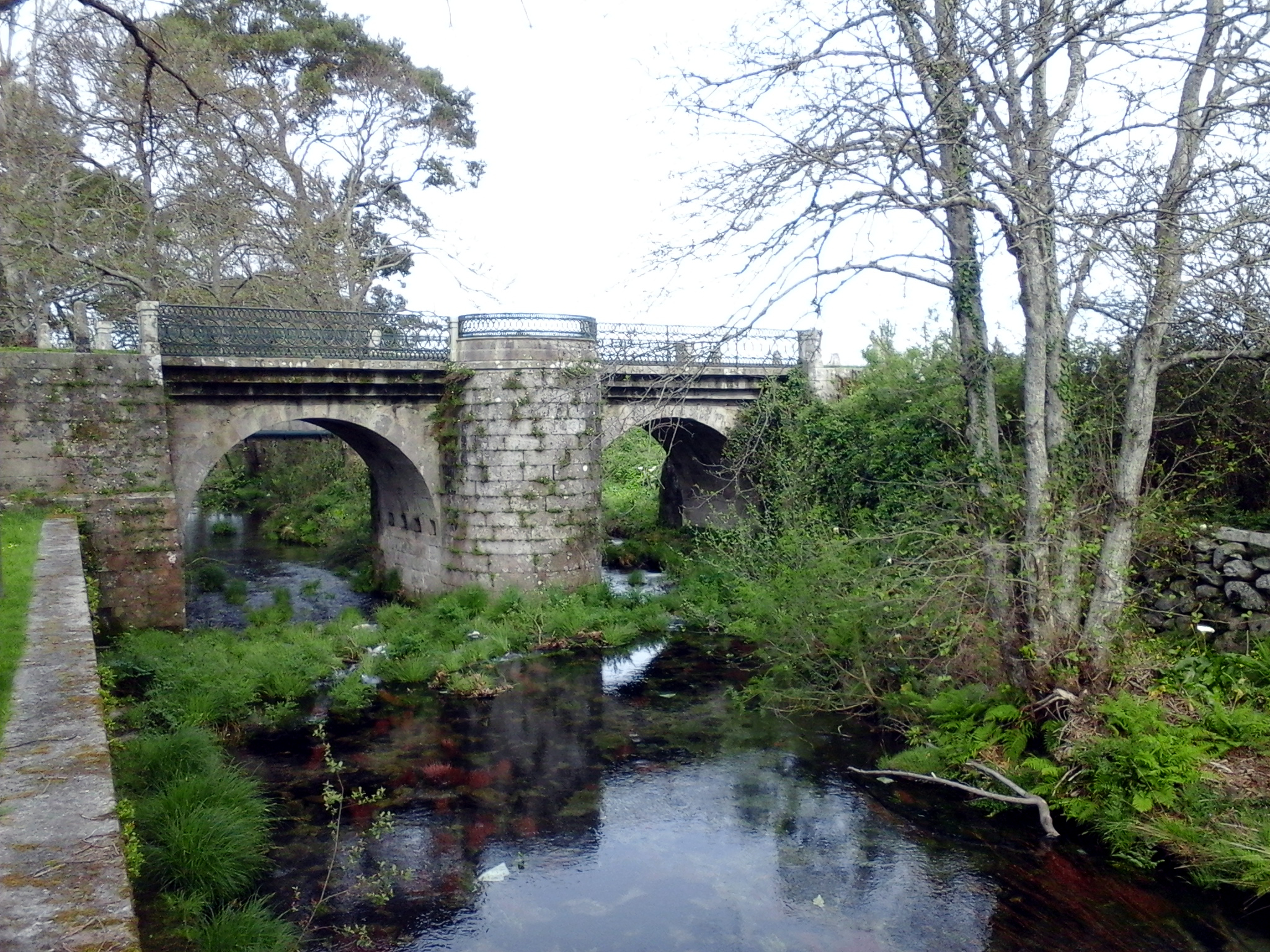 ponte